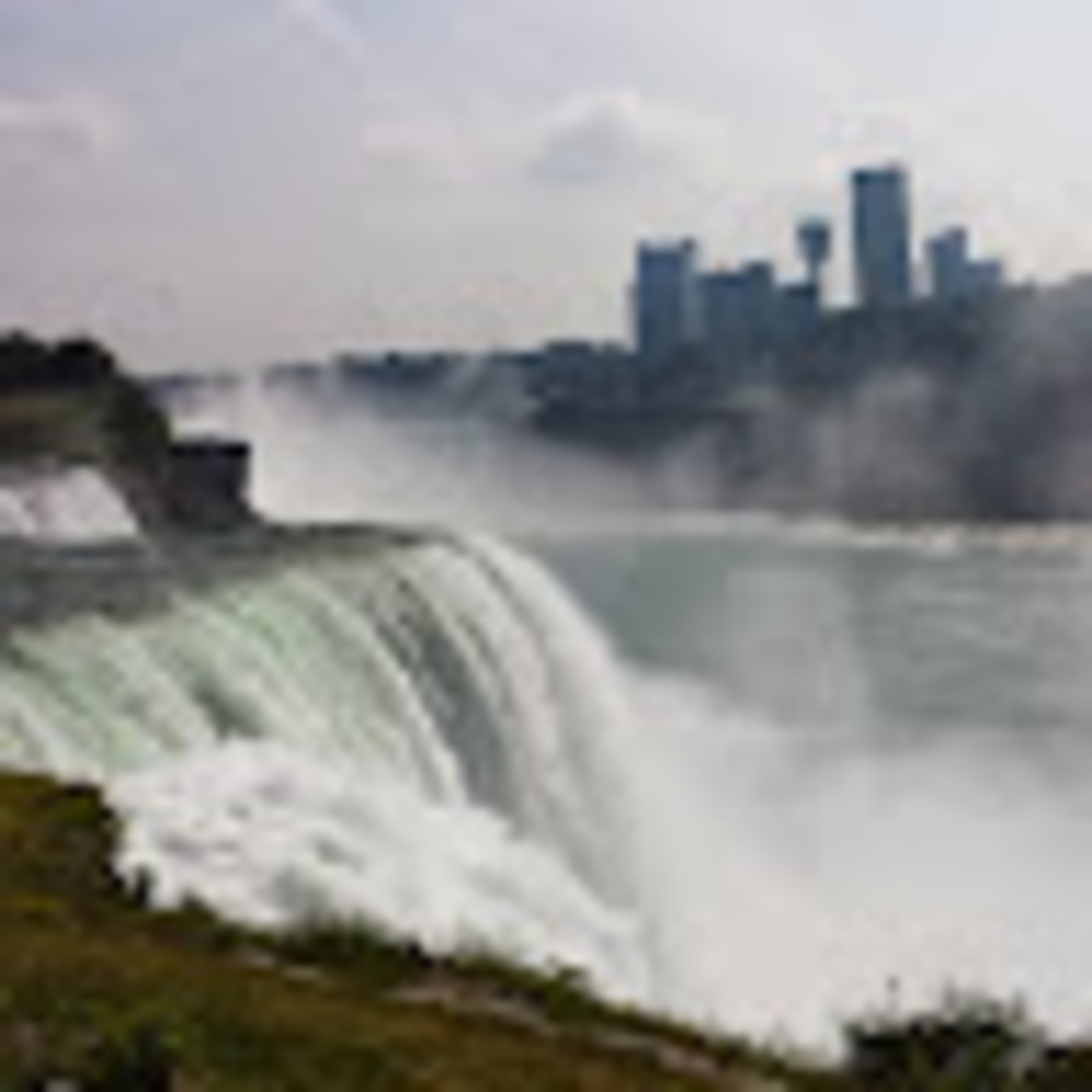 Meet your Posher, Levi